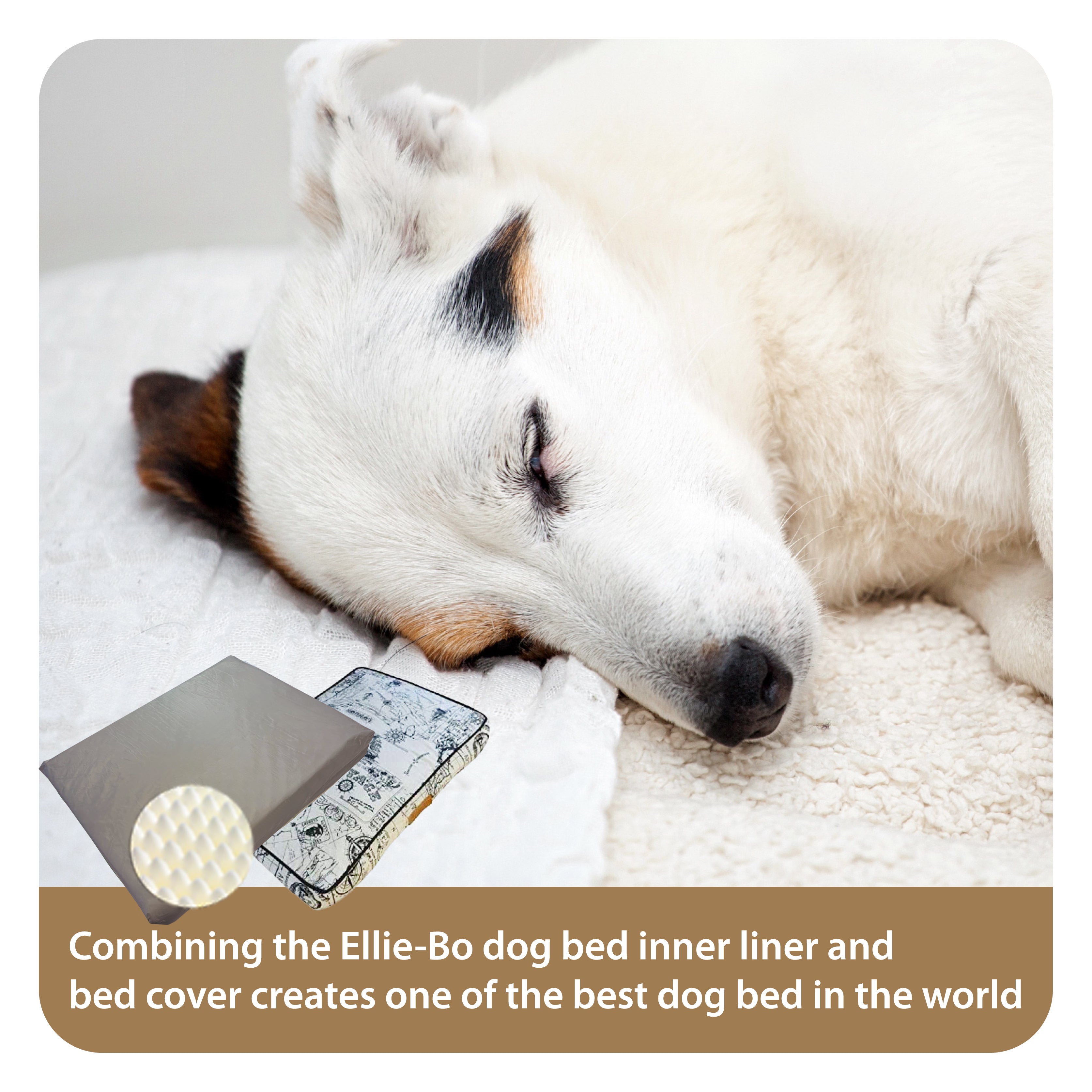 Ellie-Bo Orthopaedic Foam Beige Dog Bed in Voyager Style