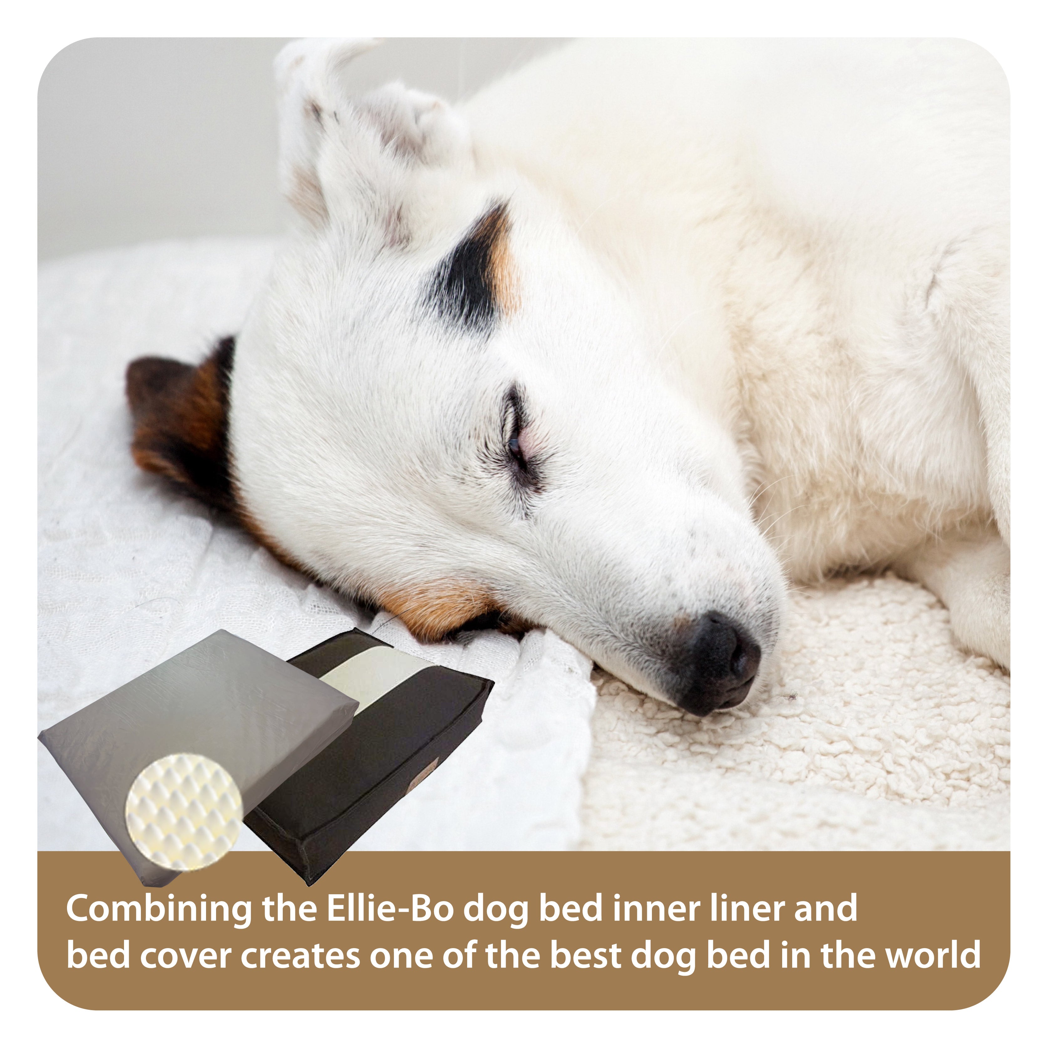 Ellie-Bo Orthopaedic Foam Striped Brown and Cream Dog Bed