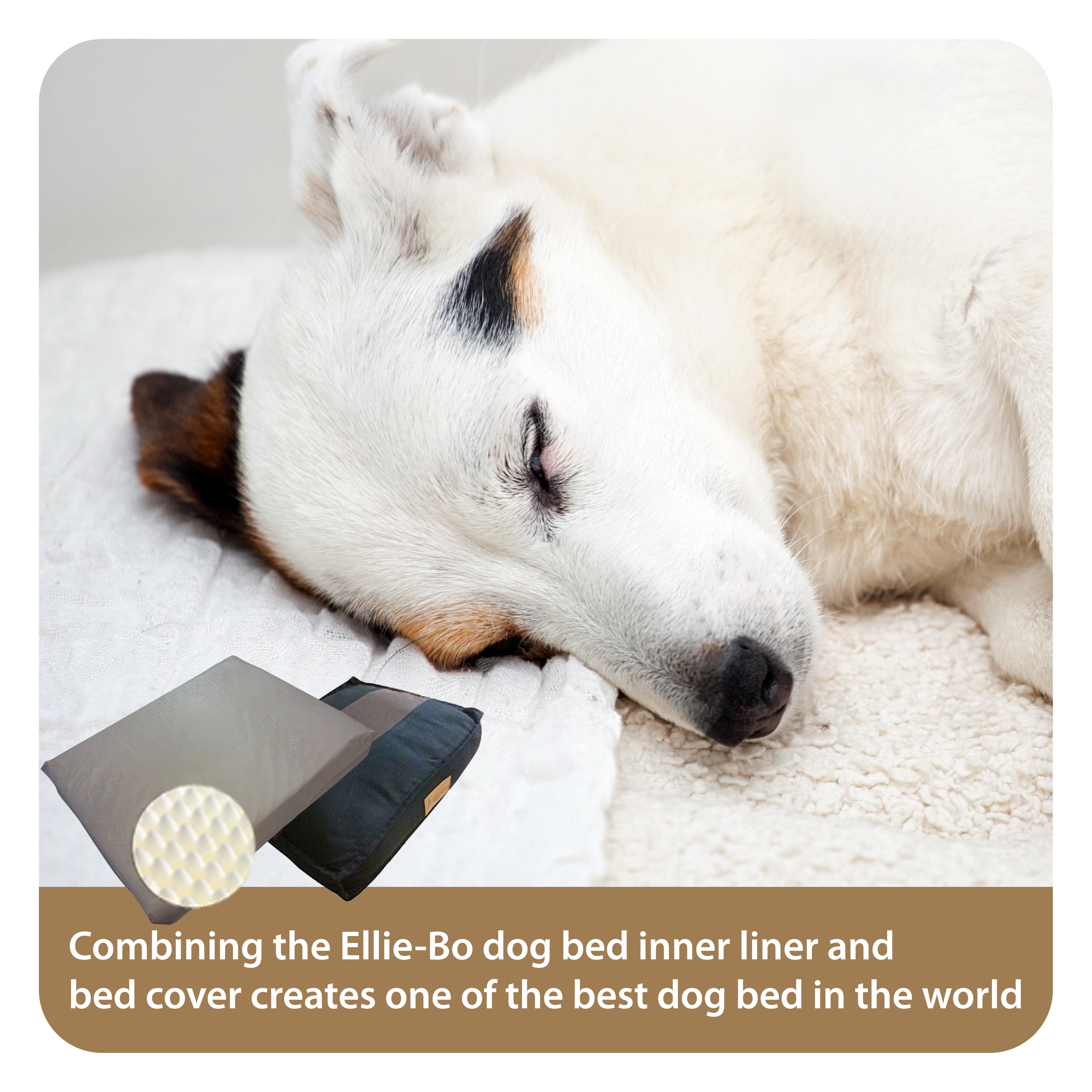 Ellie-Bo Orthopaedic Foam Striped Black and Brown Dog Bed