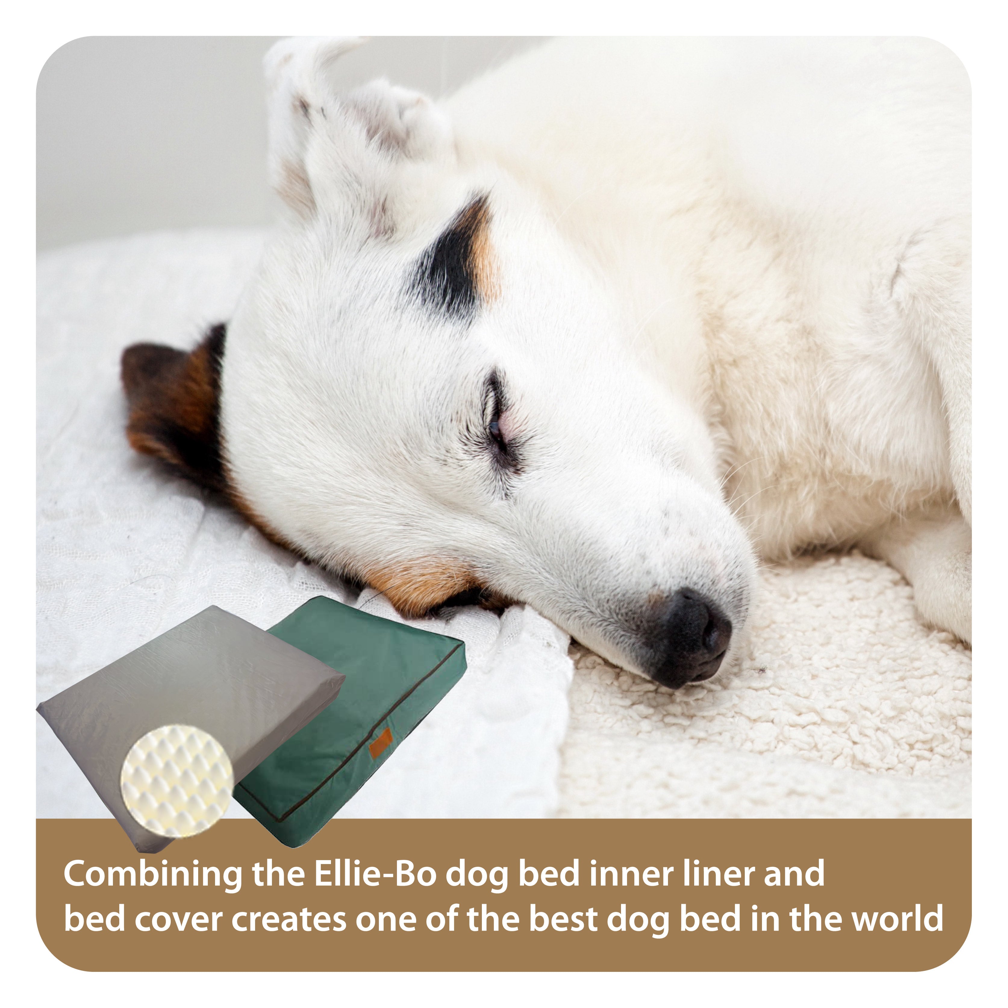Ellie-Bo Orthopaedic Foam Green Waterproof Dog Bed