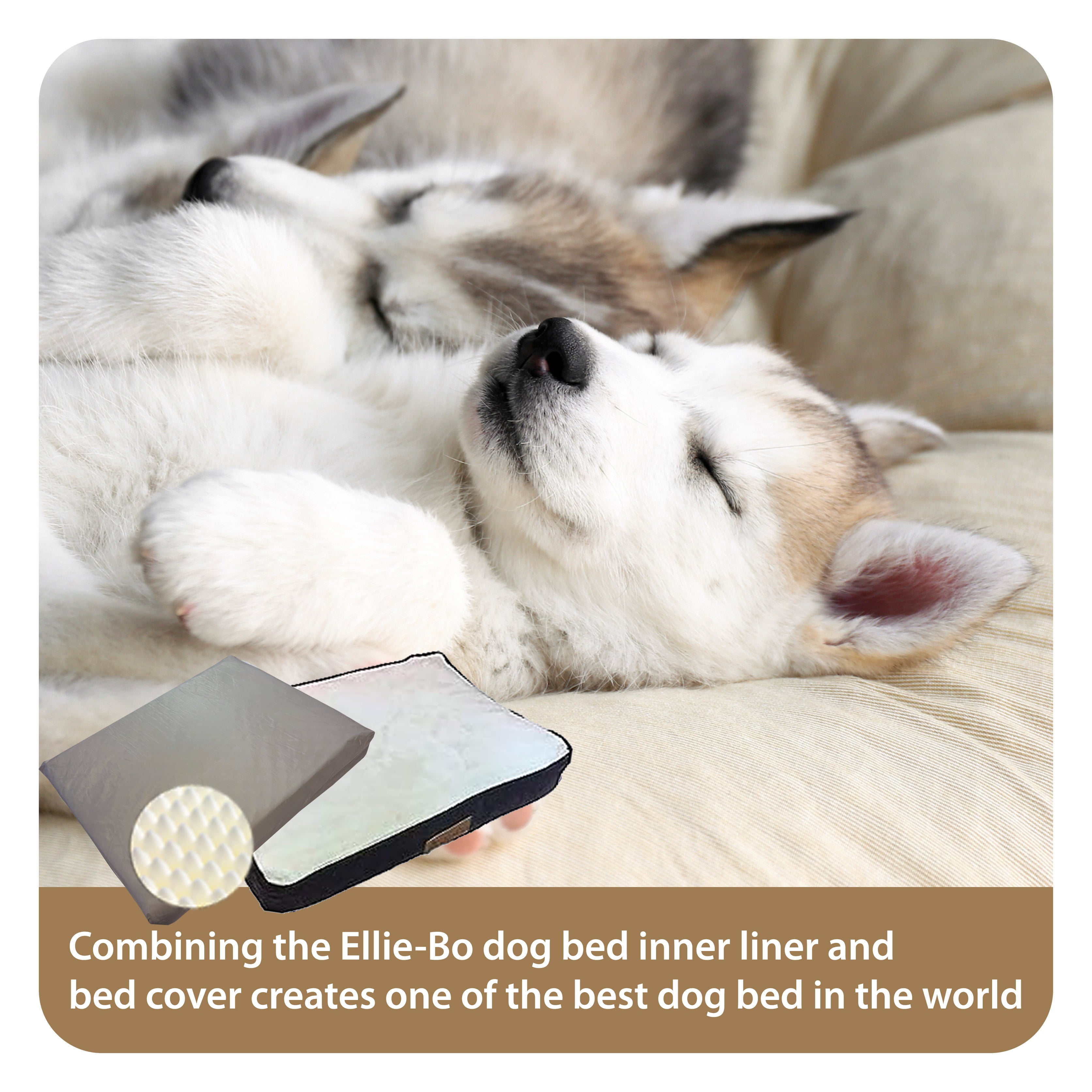 Ellie-Bo Orthopaedic Foam Dog Bed with Brown Corduroy Sides and Beige Faux Fur Topping