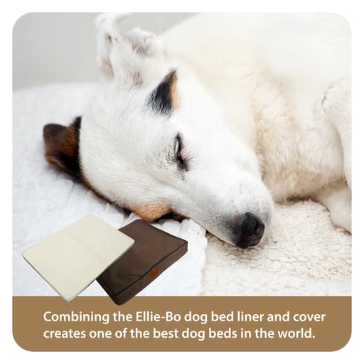 Ellie-Bo Brown Memory Foam Waterproof Dog Bed
