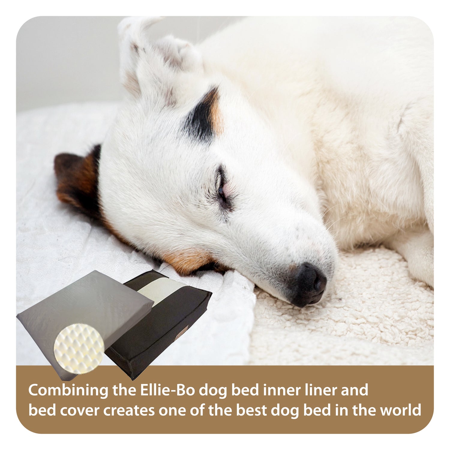 Ellie-Bo Orthopaedic Foam Striped Brown and Cream Dog Bed