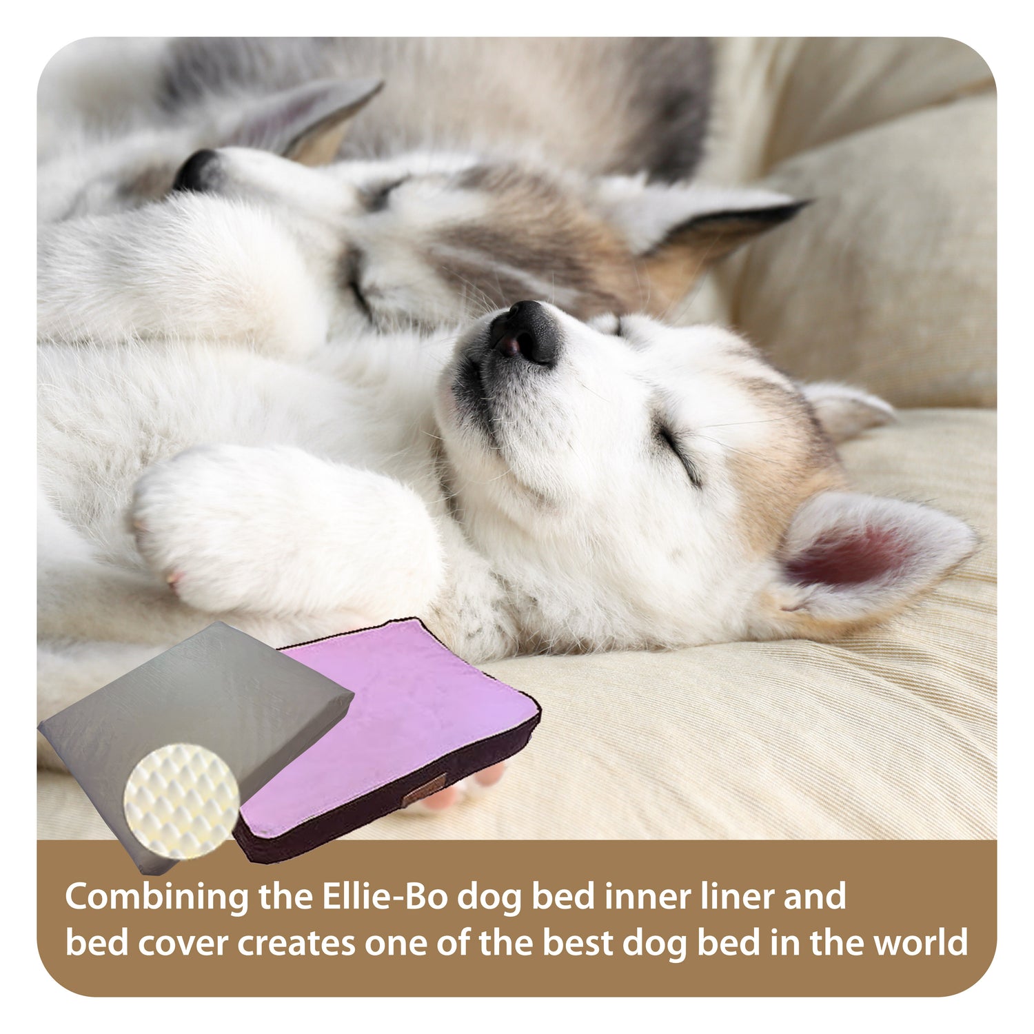 Ellie-Bo Orthopaedic Foam Dog Bed with Brown Corduroy Sides and Pink Faux Fur Topping